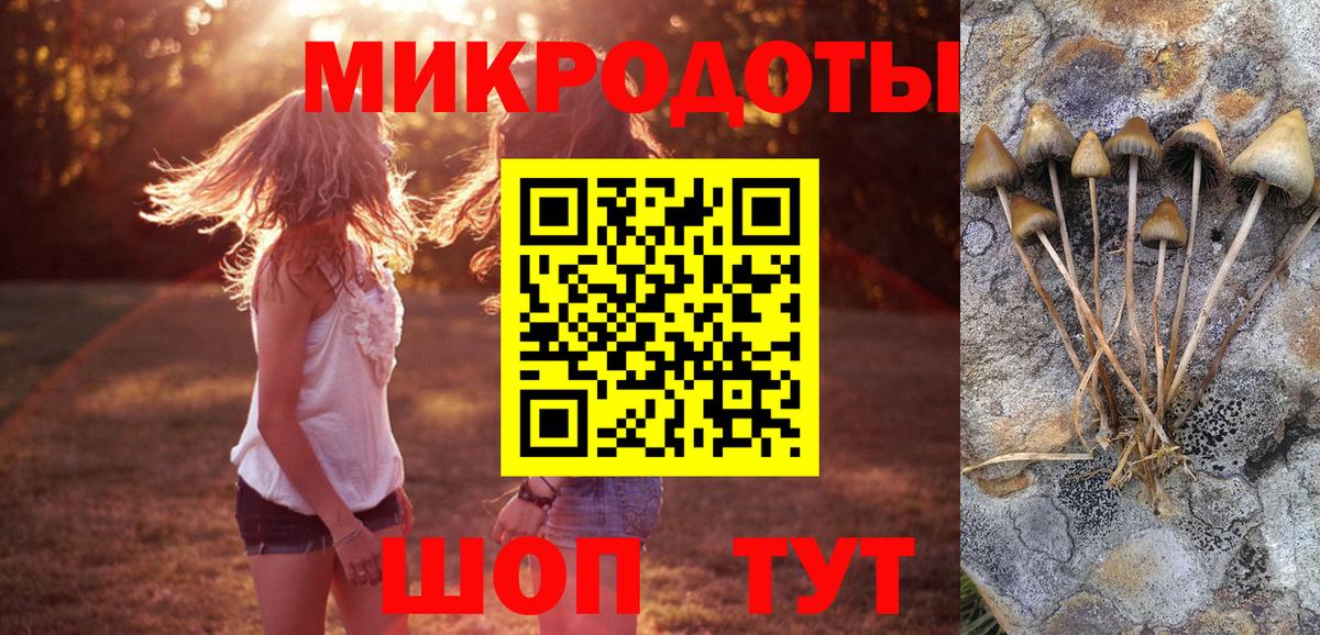 Псилоцибиновые грибы прущие грибы Междуреченск